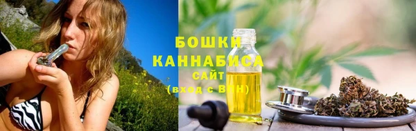 ПСИЛОЦИБИНОВЫЕ ГРИБЫ Горнозаводск