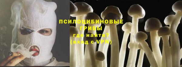 прущая мука Новодвинск