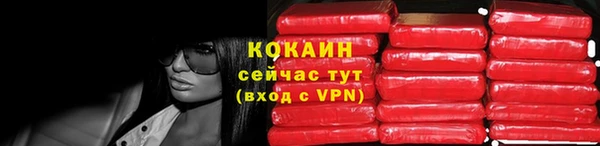 ПСИЛОЦИБИНОВЫЕ ГРИБЫ Горнозаводск