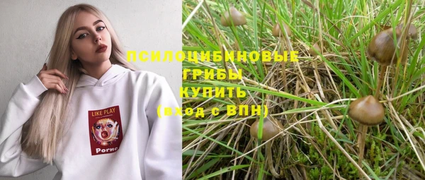 ПСИЛОЦИБИНОВЫЕ ГРИБЫ Горнозаводск