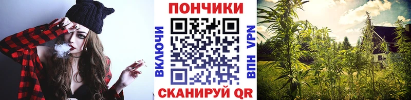 Шишки марихуана Bruce Banner  Павловск 